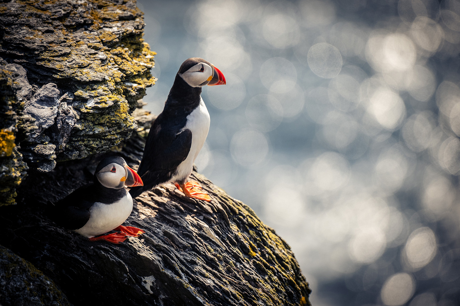 Banyoda xotini porno video